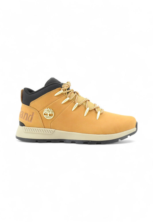TIMBERLAND Sneakers Trekking Uomo Marrone TB0A1XVQ2311-AI26
