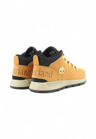 TIMBERLAND Sneakers Trekking Uomo Marrone TB0A1XVQ2311-AI26
