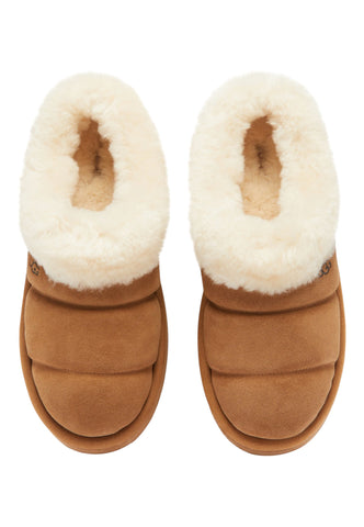 UGG Tazzlita Ciabatta Pelo Donna Chestnut 1146390-CHE-AI25