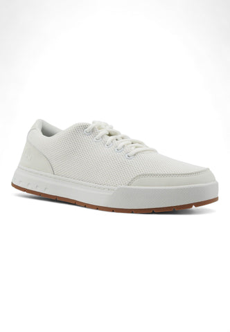 TIMBERLAND Maple Grove Oxford Sneaker Uomo Natural Bianco TB0A5PNRDR2 - Sandrini Calzature e Abbigliamento