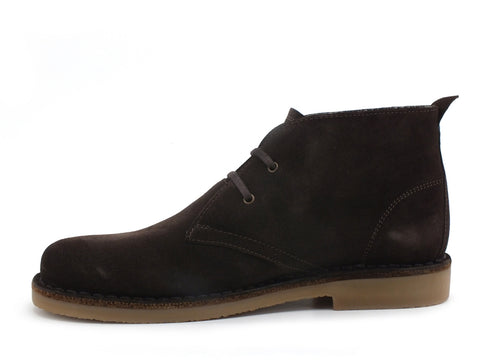 U.S. POLO Amadeus Stringata Uomo Dark Brown AMADEUS