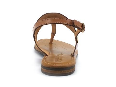 GEOX Sandalo Infradito Brown Caramel D15LXE0001JC6127