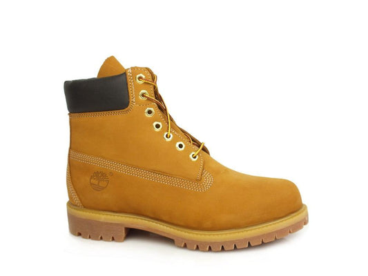 TIMBERLAND 10061 Miele - Sandrini Calzature e Abbigliamento
