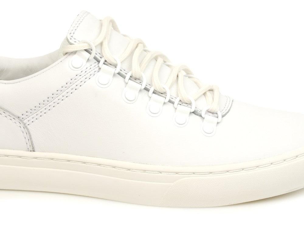 TIMBERLAND Sneakers Alpi White A1U5R - Sandrini Calzature e Abbigliamento